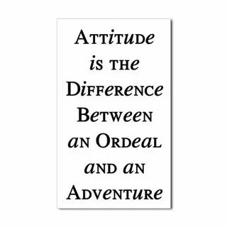 Attitude wise