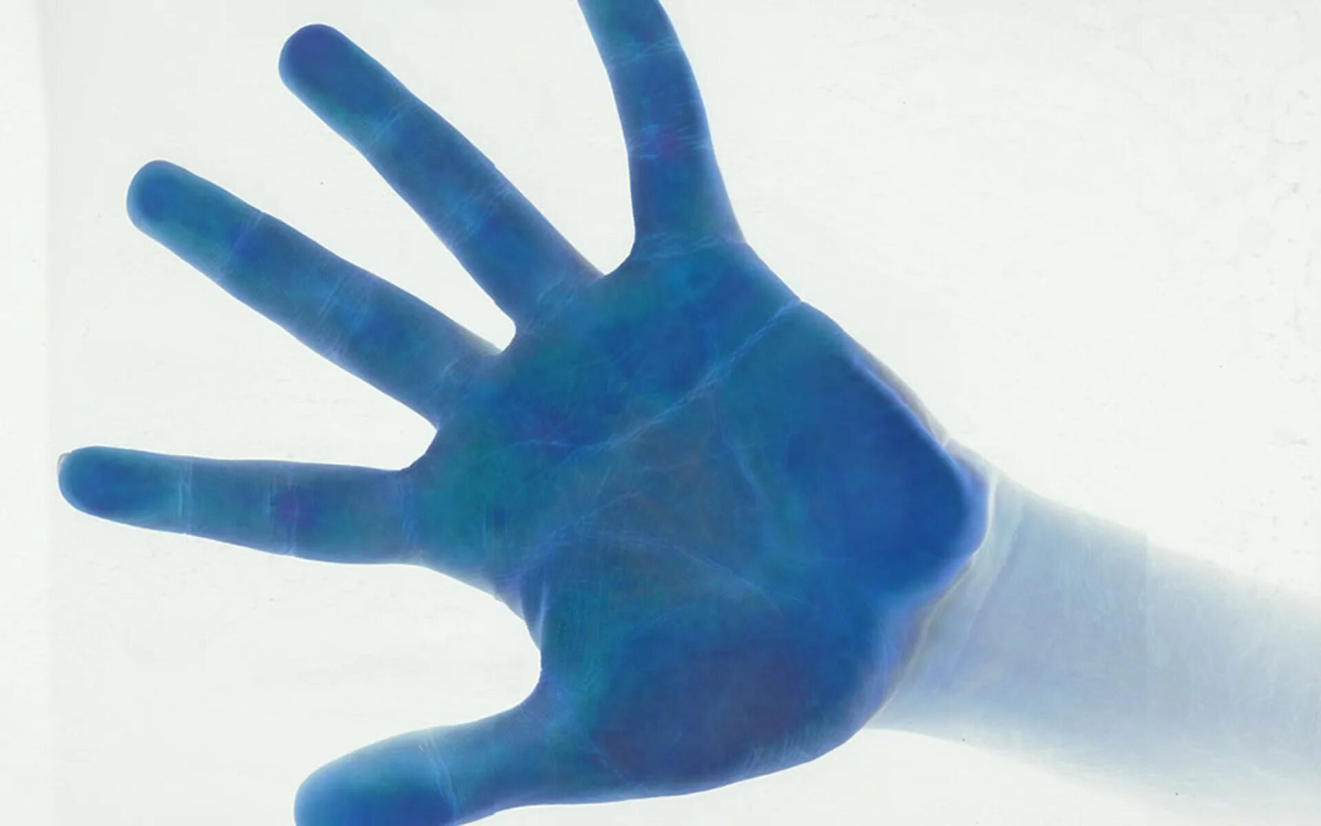 Синяя ладонь. Голубые руки. Ладошки синего цвета. Голубые ладони.