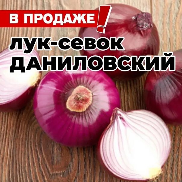 Лучшие сорта лука-севка для посадки под зиму Если вы предпочитаете сажать лук...