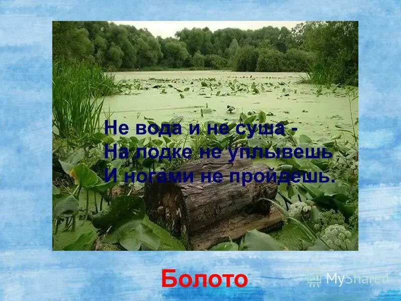 Слова со слова болото. Загадки про болото. Загадки про болота. Загадка о болоте. Загадка о болоте для детей.