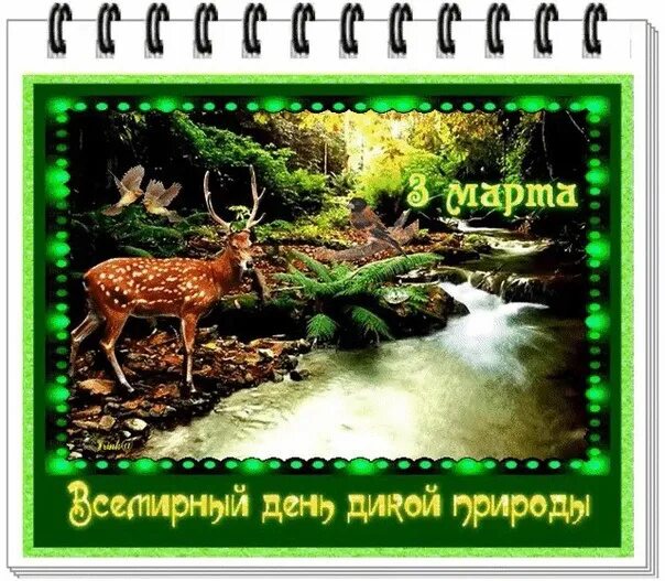 День дикой природы 22 февраля картинки. Всемирный день дикой природы. всемирный день дикой природы открытки.