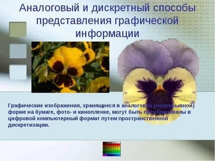 5 примеров аналоговой и цифровой информации
