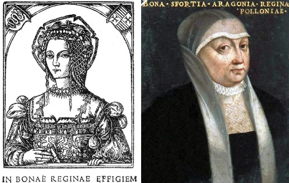 Бона сфорца портрет. Польская королева бона сфорца. Бона сфорца в молодости. Королева бона (1980) польша. Королева бона.