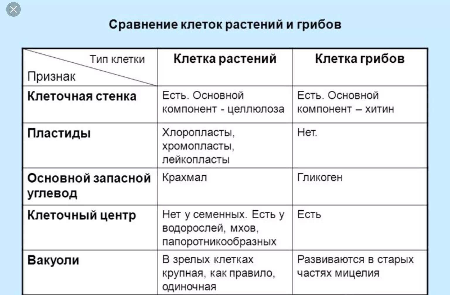 Строение клеток сходство и различие. Сравнение строения клеток растений животных грибов. Сравнение животной и растительной клетки грибов таблица. Сравнение клеток растений животных грибов и бактерий таблица. Отличие клеток растений животных и грибов таблица.