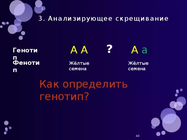 Как определить генотип в задаче. Генотип и фенотип в задачах. Как определить генотип и фенотип. Как определить генотип и фенотип в задачах.