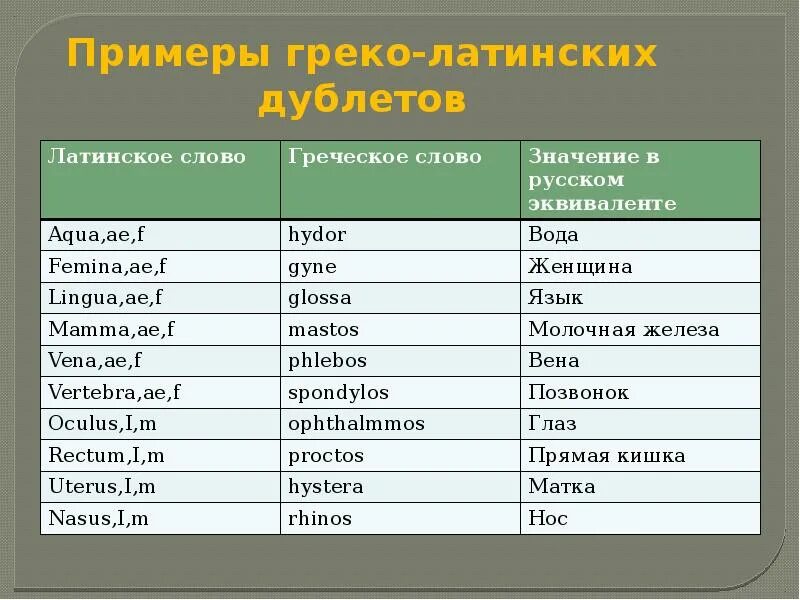 Термин происходит от латинского слова обозначающего. Латинские слова. Греко латинские дублеты латынь. Греко-латинские дублеты в медицинской терминологии. Греческие дублеты латинских слов.