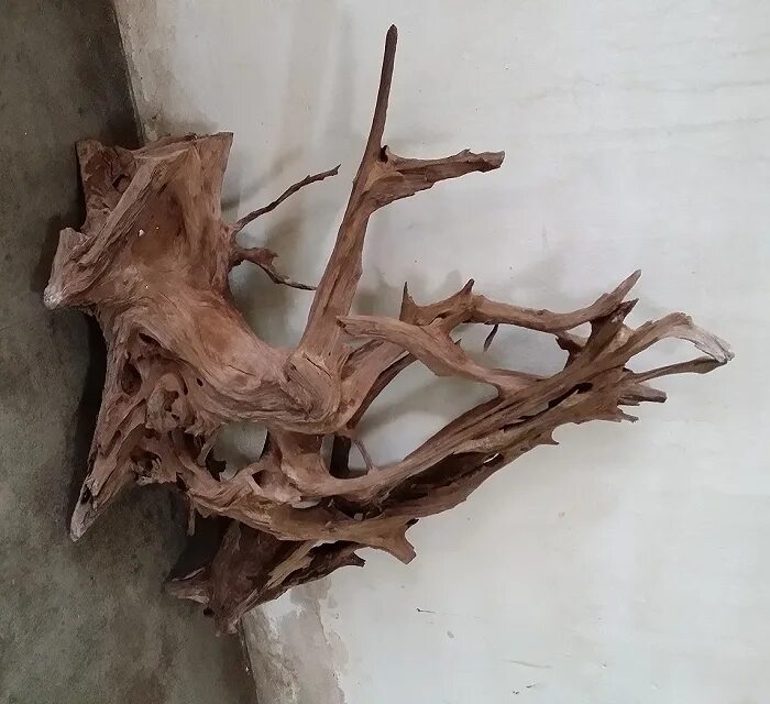 Коряги дуб для аквариума. Мангровая коряга. дубовая коряга. мангровая коряга для аквариума. дубовая коряга в аквариуме.