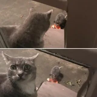 Ну видишь ситуация накаляется