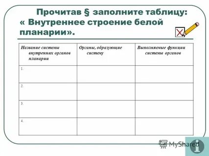 Заполните таблицу системы органов белой планарии