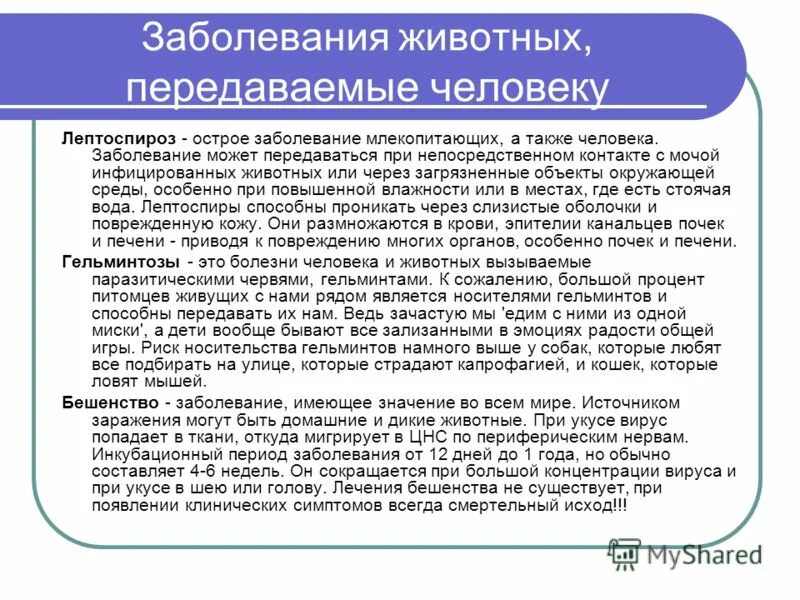 Жизнь болезнь передающаяся. Заболевания животных передающихся человеку. Заразные болезни животных передающиеся человеку это. Заболевания передающиеся от животных к человеку. Болезни передаваемые от животных к человеку.