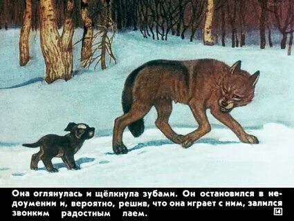 Чехов белолобый читать полностью весь текст