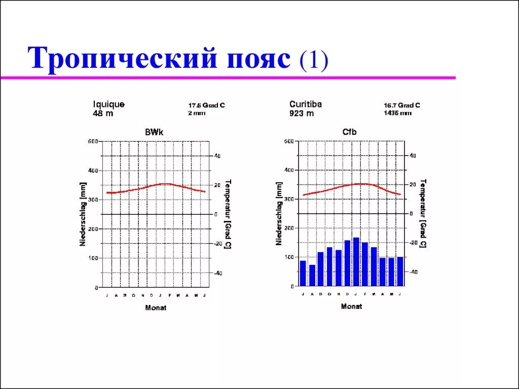 Климатограмма северной америки. Климатограмма тропического климата Южной Америки. Тропический пустынный климат климатограмма. Климатограммы тропического климатического пояса. Климатограмма Южного тропического пояса.