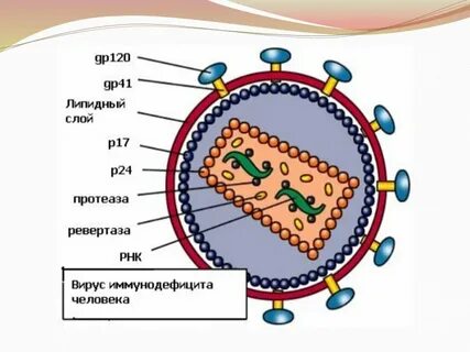 Rustore вирусы