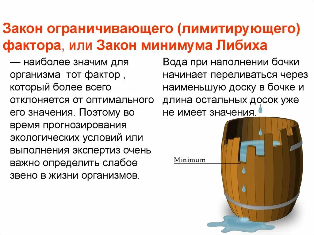 Закон лимитирующего фактора. Биология бочка либиха. закон лимитирующего фактора либиха. закон ограничивающего фактора либиха. бочка либиха факторы.
