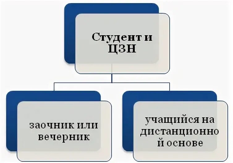 Встать на биржу труда студенту