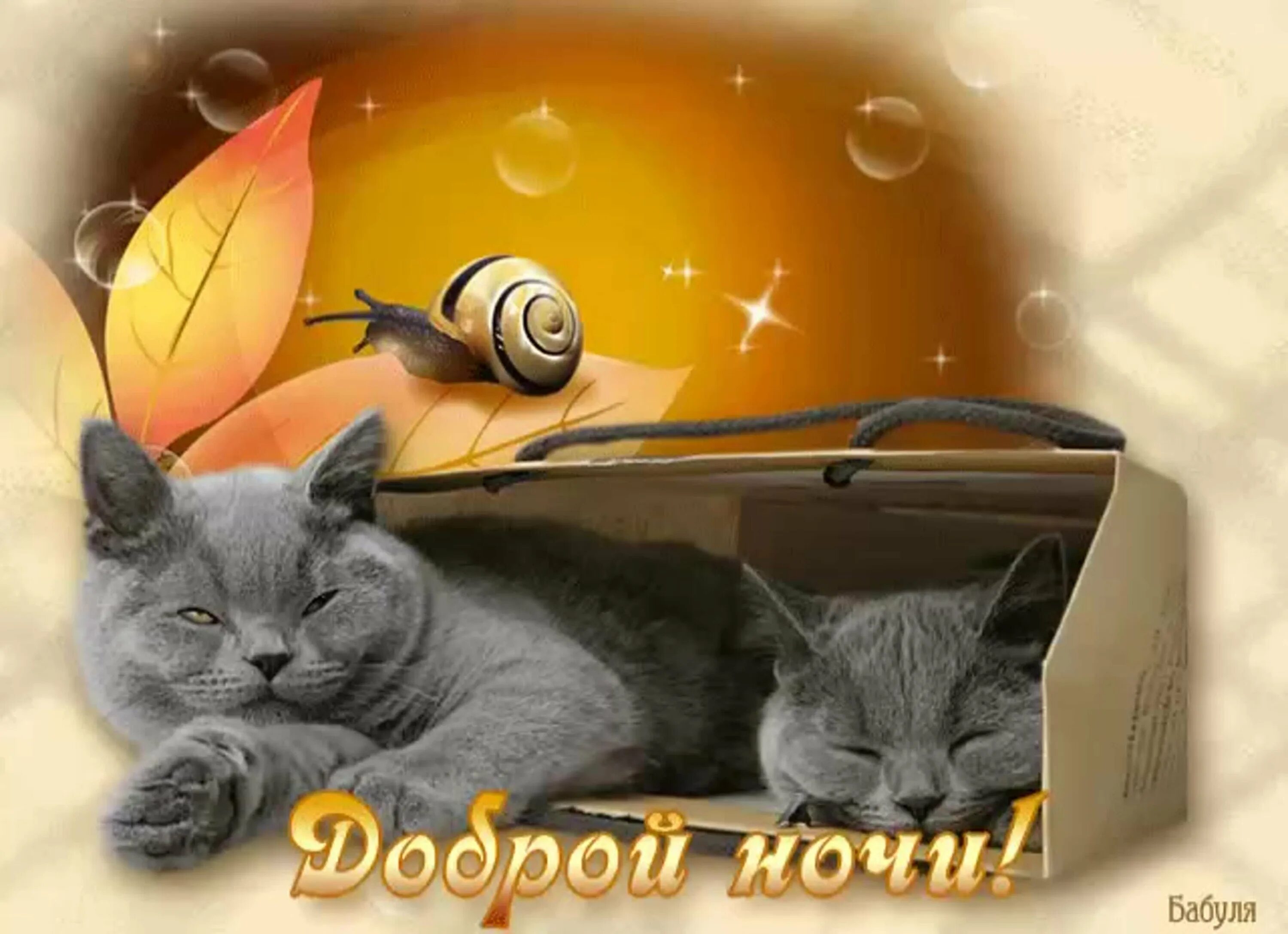 Добрый вечер картинки с котятами. Доброй ночи котик. открытки спокойной ночи с кошками. доброй ночи с котятами и пожеланиями. спокойной ночи гифки с животными.
