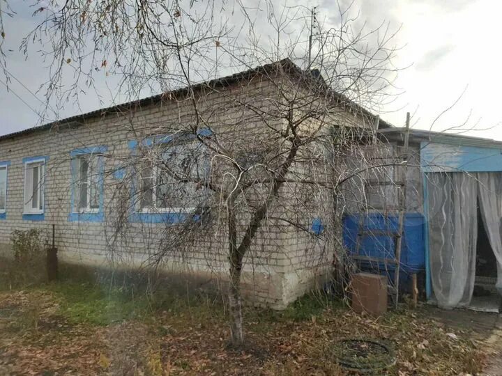 Село софьино саратовская область. Деревня софьино московская область. Село софьино саратовская область. Софьино. Село софьино саратовская область.