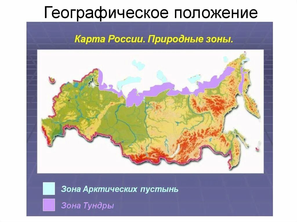 Географическое положение арктической тундры
