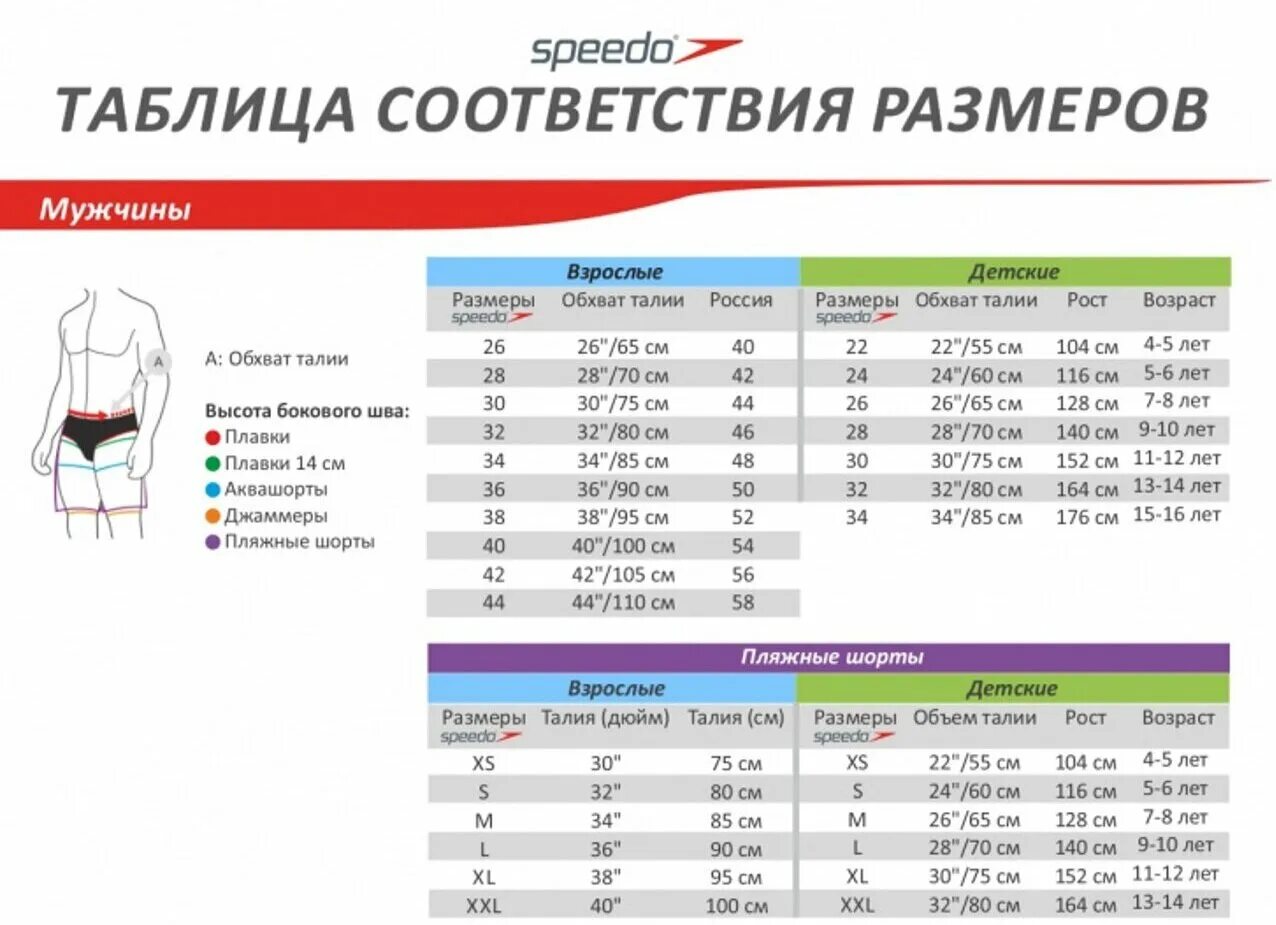 Как выбрать плавки. Speedo Размерная сетка плавок. Плавки speedo Размерная сетка. Плавки speedo 34 Размерная сетка. Мужские плавки Сенсара Размерная сетка.