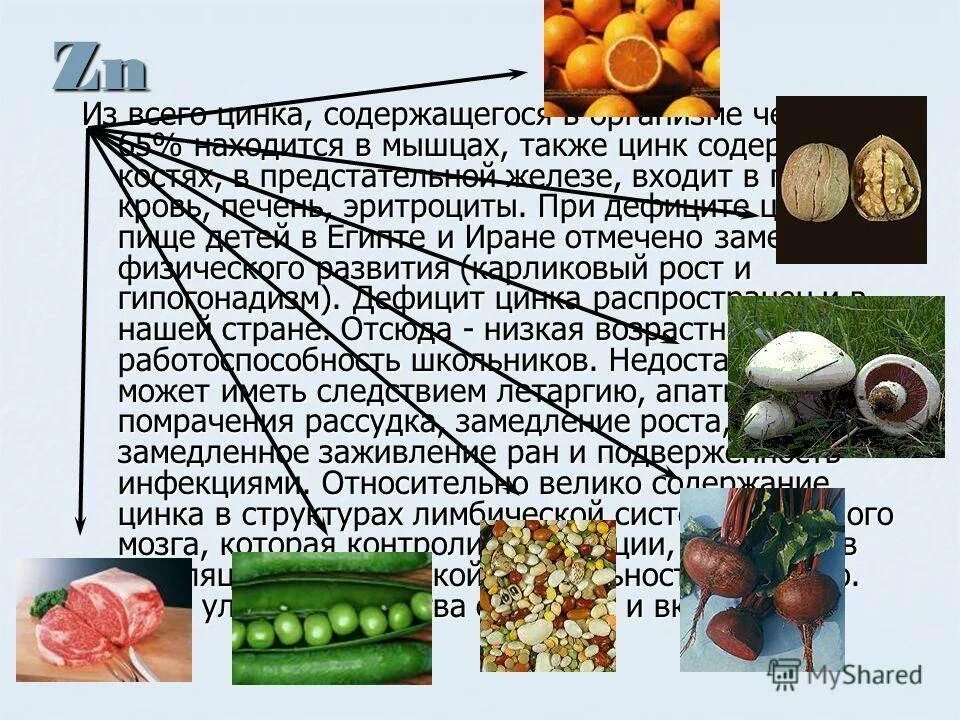 Почему пьют цинк. Роль цинка в организме. Роль цинка в организме человека кратко. Уровень цинка в организме. Цинк функции в организме.