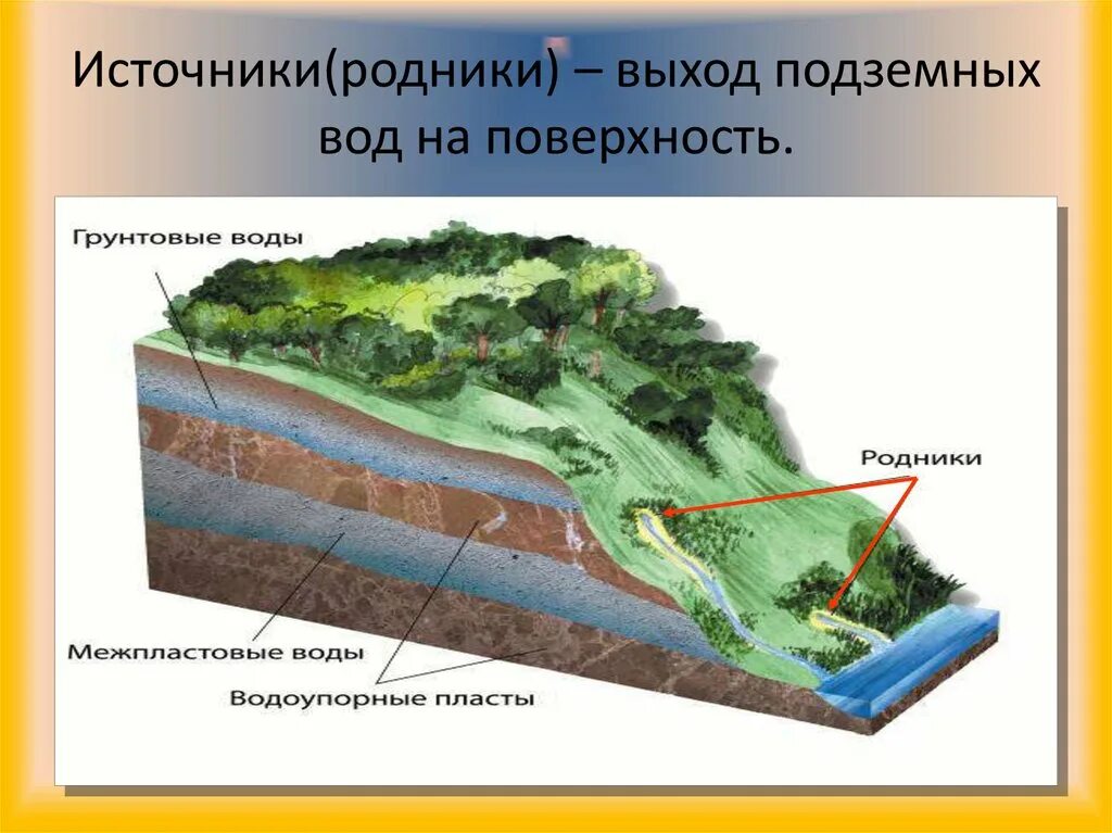 Участка водные поверхности и природный. Образование источников родников. Грунтовые воды. Подземные воды в разрезе. Строение родника.