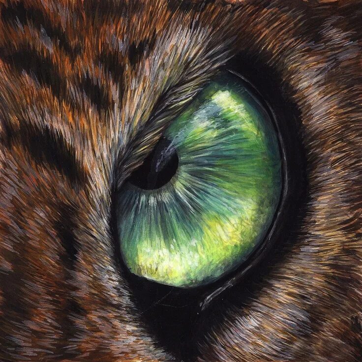 Глазки краски. Необычные глаза животных. Кошачий глаз. Зеленые глаза у животных. Животное с зелеными глазами.
