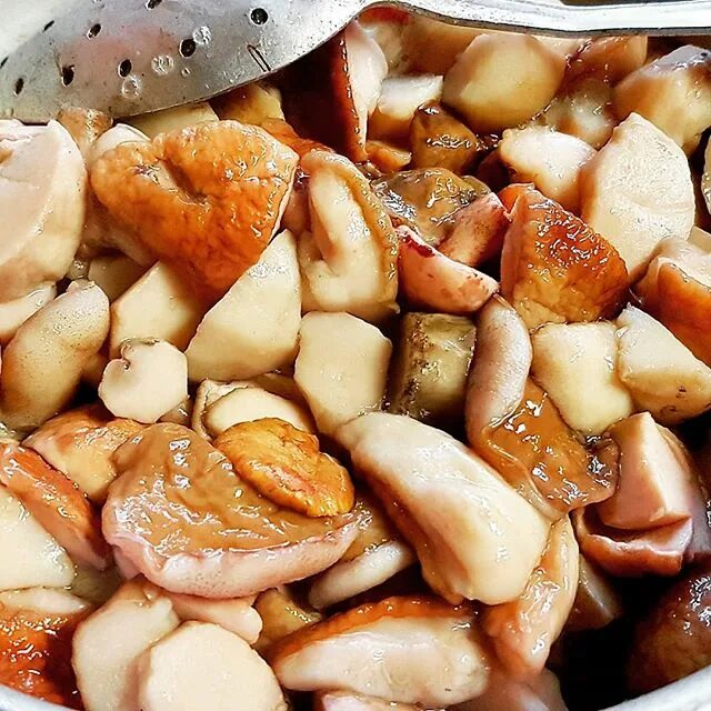 вареные грибы в духовке. шампиньоны свежие вареные. запеченный гриб целиком. блюда с шампиньонами. запеченные блюда из грибов.