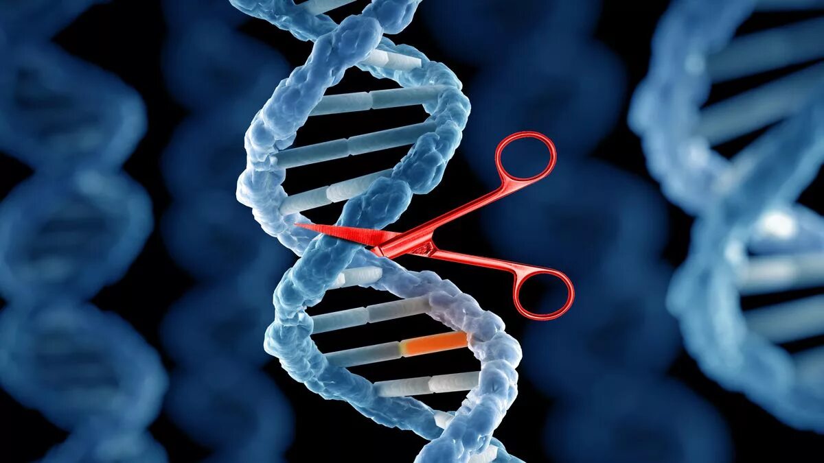 Технология редактирования генов CRISPR/cas9. CRISPR/cas9 редактирование генов. Редактирование генома с CRISPR/cas9. Генетика CRISPR.