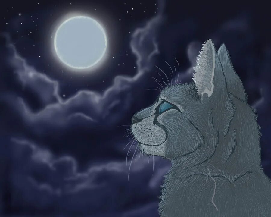 Не видно ни звезд ни луны. Коты воители синяя звезда. коты воители синяя звезда арт. коты воители синяя звезда в звездном племени. синяя звезда из коты воители.