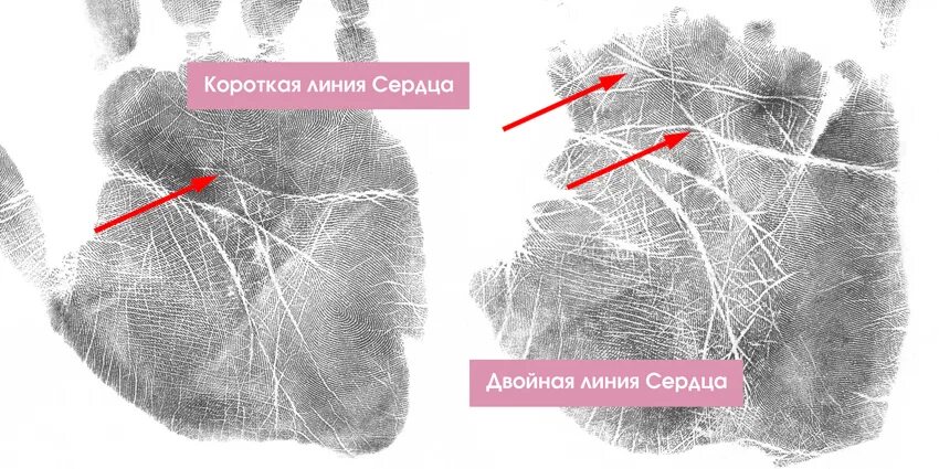 По линии сердца дракона читать полностью. Две линии сердца. Линии на линии сердца. Двойная линия сердца. Квадрат на линии сердца.