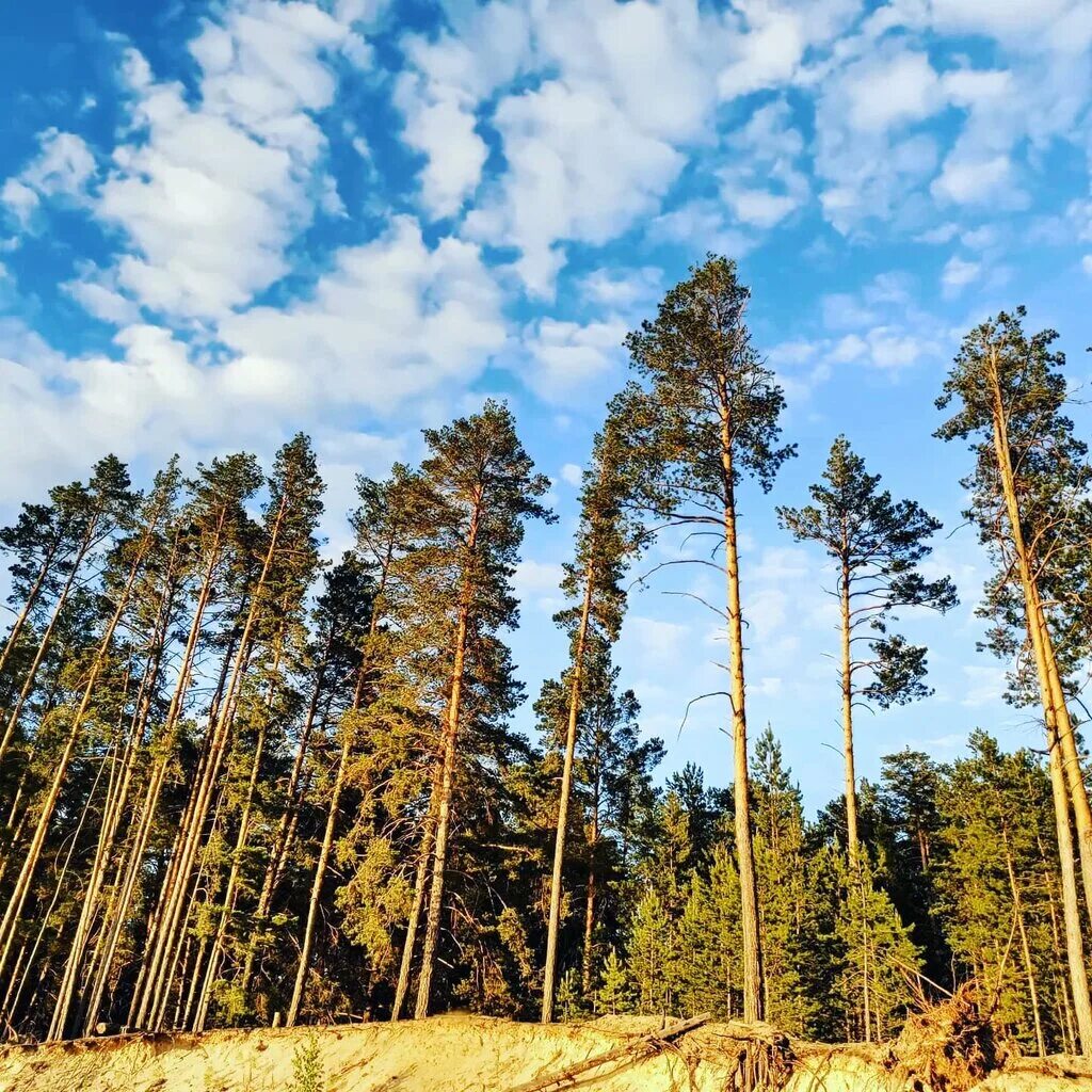 Пляж муллаши тюмень. Муллаши куба тюмень. Сауна малибу в барнауле шумакова. Сауна малибу в барнауле шумакова. Бухта радости малибу ресторан.