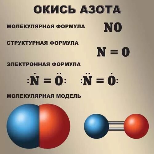 Вид химической связи в оксиде азота