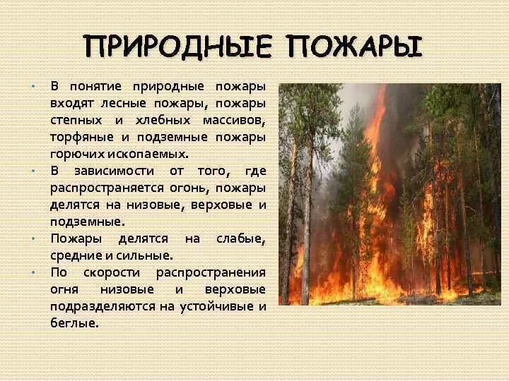 Характеристика лесных пожаров обж. ЧС природного характера Лесные пожары. Природные пожары это определение. Возникновение природных пожаров. Критерии природного пожара.