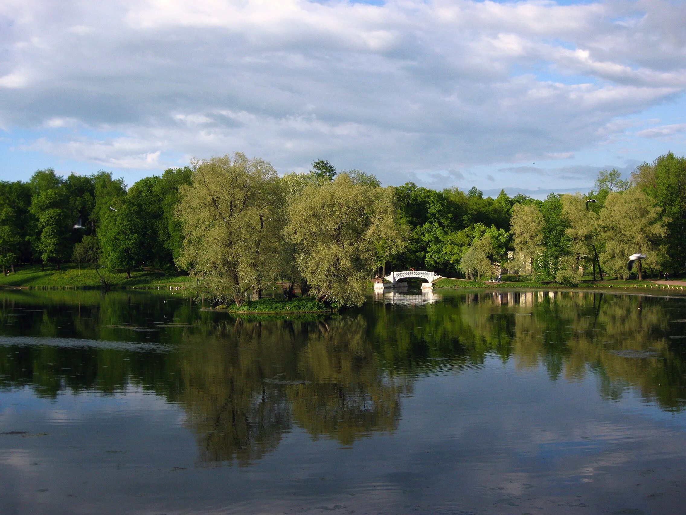 Новые озера гатчинский. Новые озера гатчинский. Новое озеро гатчина база отдыха. Озеро колпанское гатчинский район рыбалка. Комплекс отдыха новые озёра гатчинский район.