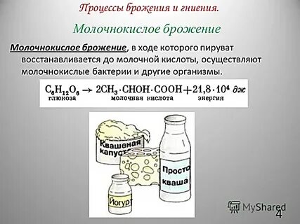 Дрожжи кислота