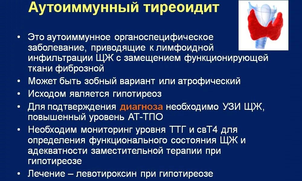 Аутоиммунные изменения щитовидной. Т4 аутоиммунный тиреоидит. Хронический аутоиммунный тиреоидит синдромы. Щитовидной железа ТТГ И т4. Аутоиммунный тиреоидит показатели ТТГ И т4.