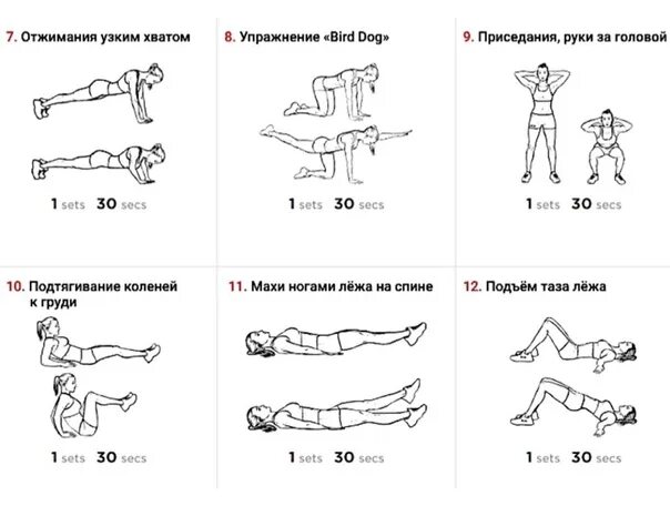 Комплекс упражнений отжимания приседания пресс. Отжимания приседания пресс программа тренировок. Комплекс упражнений отжимания от пола. Отжимания схема тренировок. Упражнения приседания отжимания