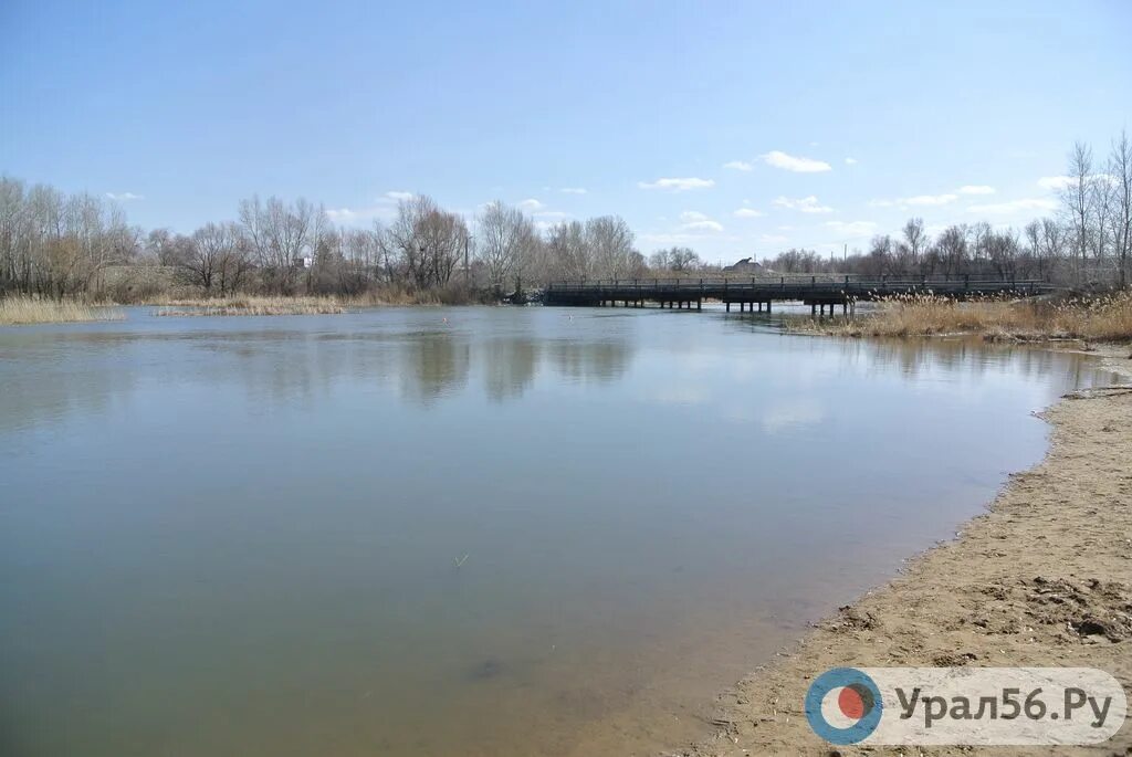 Река урал в оренбурге уровень воды сегодня