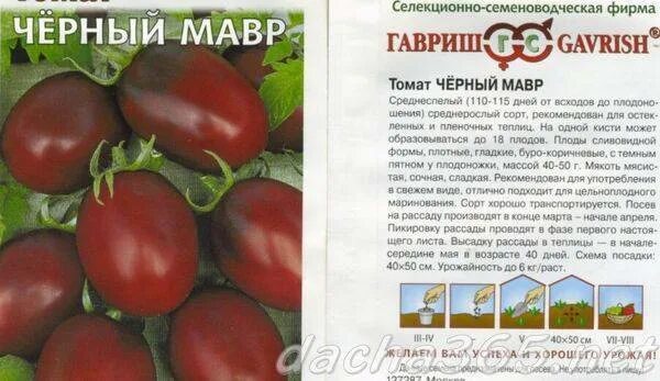 Томат черный мавр 0,1г. Помидоры черри черный мавр. Черный мавр характеристика. Черный мавр характеристика. Черный мавр томат удачные семена.