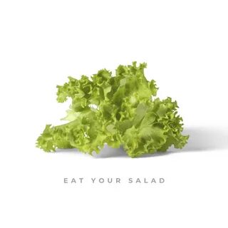 Citi zēni eat your salad lyrics
