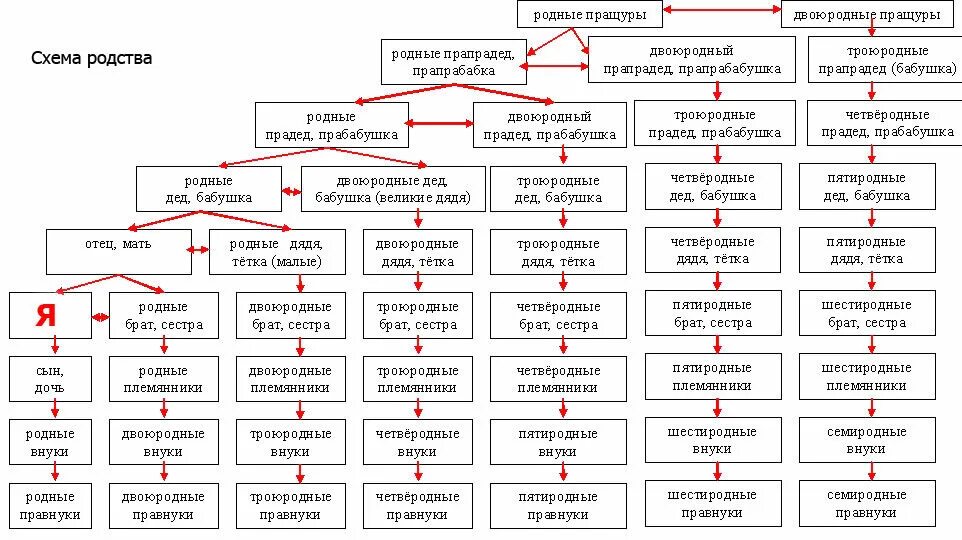 Сестра моложе брата семьюстами пятьюдесятью. Схема родственных связей двоюродных сестер. Схема родства кто кому кем приходится. Схема родства двоюродные троюродные. Родственная схема кто кому приходится.