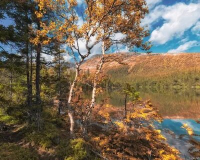 Кольская природа