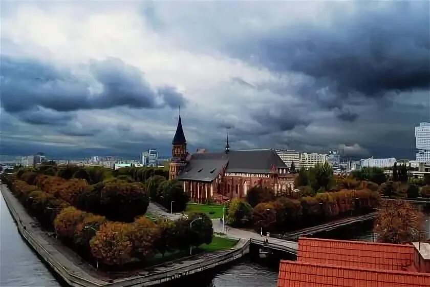 Калининградское нахимовское военно-морское училище. Калининград сентябрь 2023. Район сельма калининград. Золотая осень в калининградской области. Сельма.