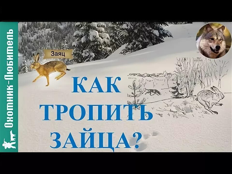 Как правильно тропить зайца показать схему 