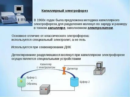 Капиллярный электрофорез