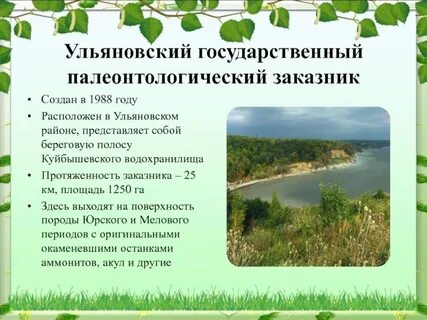 Проект ульяновская область