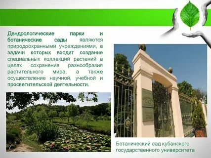 Ботанический сад особо охраняемая природная территория