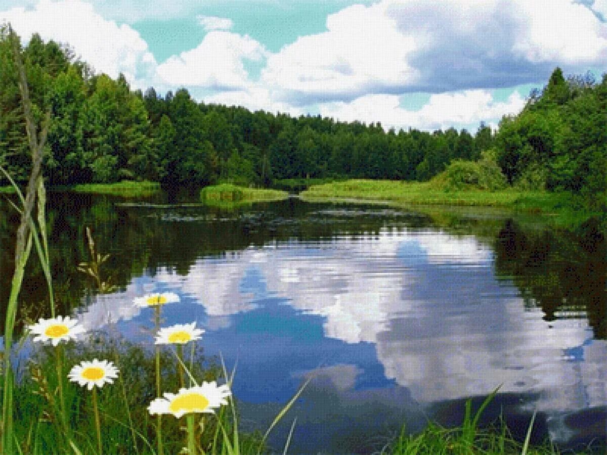 Доброе утро речка. Летом у реки. лето речка. гляжу в озера синие.