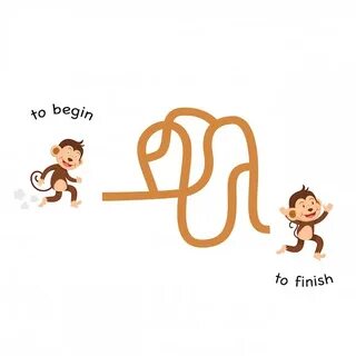 Vector begin
