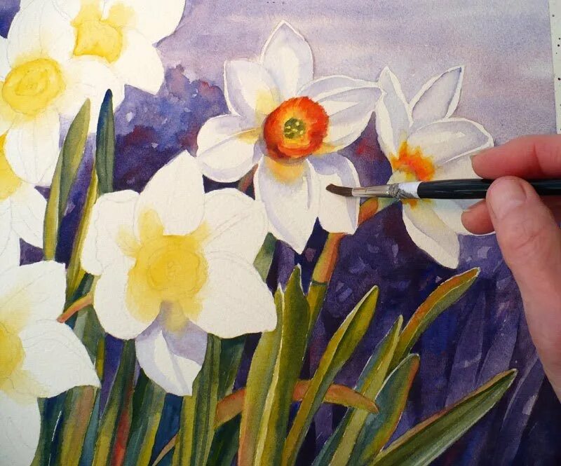 Нарцисс Narcissus Paint. Кайботт нарциссы. Нарцисс Narcissus Paint Art Flowers. Нарциссы акварелью